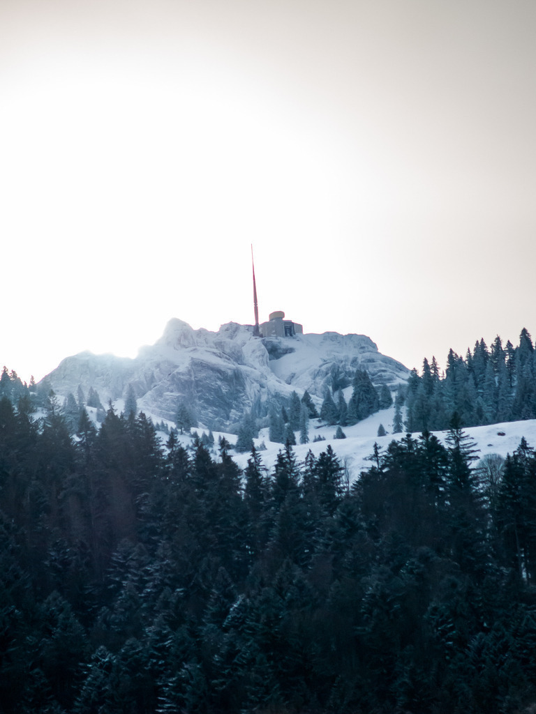 PSX_20230119_231759 | OLYMPUS DIGITAL CAMERA - Realisiert mit Pictrs.com