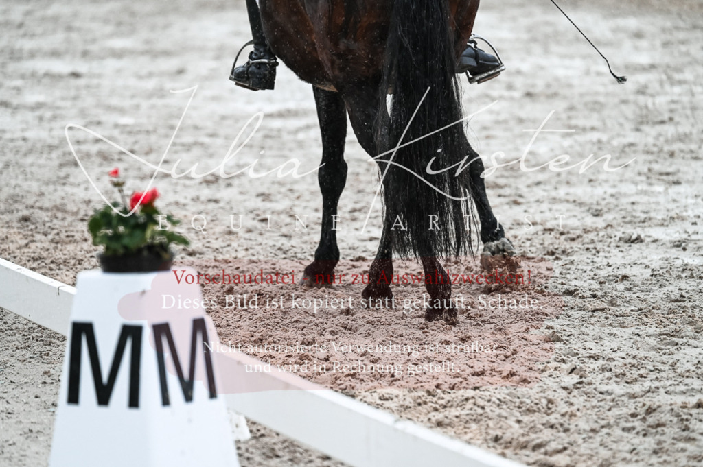 DSC_4664 | Pferde- und Turnierfotografie in Westsachsen. Pferdeportraits, Auftragszeichnungen und intuitive Kunst.