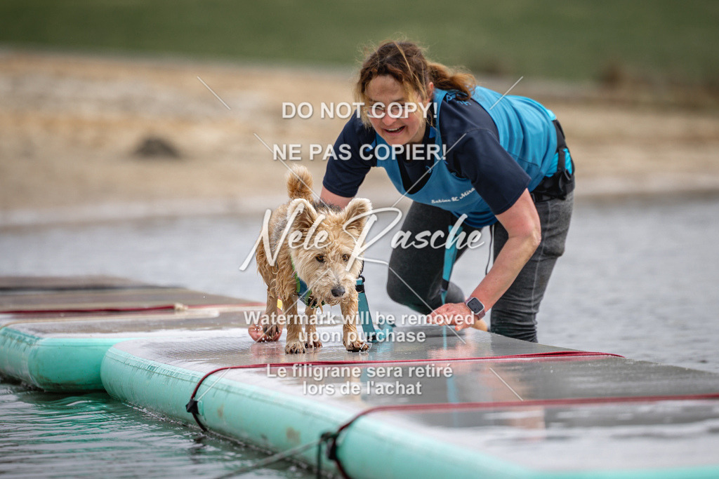 nelerasche_Hulsbeek_Sa1130-1230_576 | nelerasche