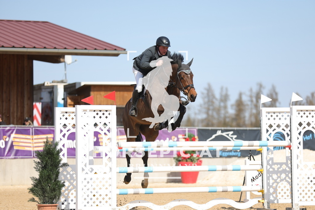 0P6A1707 | Willkommen bei Brunnmayr - Design & Fotografie – Ihrem Spezialisten für Reitturniere und Pferdeveranstaltungen in Oberösterreich, Salzburg und Bayern! Seit über 17 Jahren sind wir leidenschaftlich dabei.