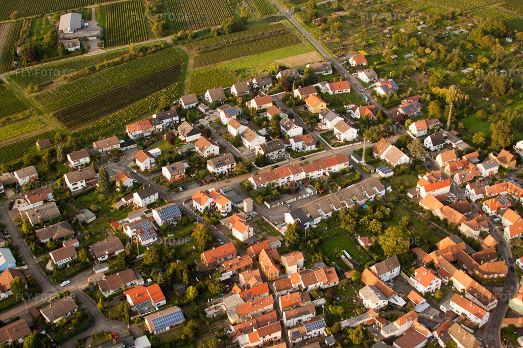Luftbild: Godramstein, Rebsortenviertel im Ortsteil Godramstein in Landau im Bundesland Rheinland-Pfalz in Deutschland. Foto: IMG_33013.jpg vom 03.09.2010 durch Werner Riehm/FLY-FOTO.de