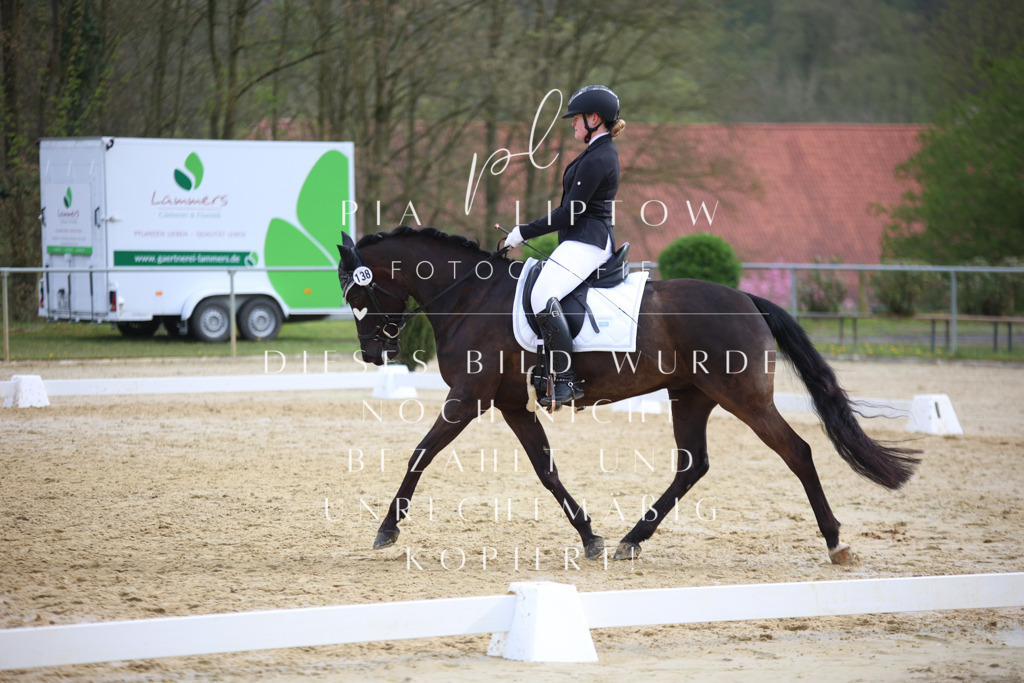 IMGT6956 | pl-fotografie