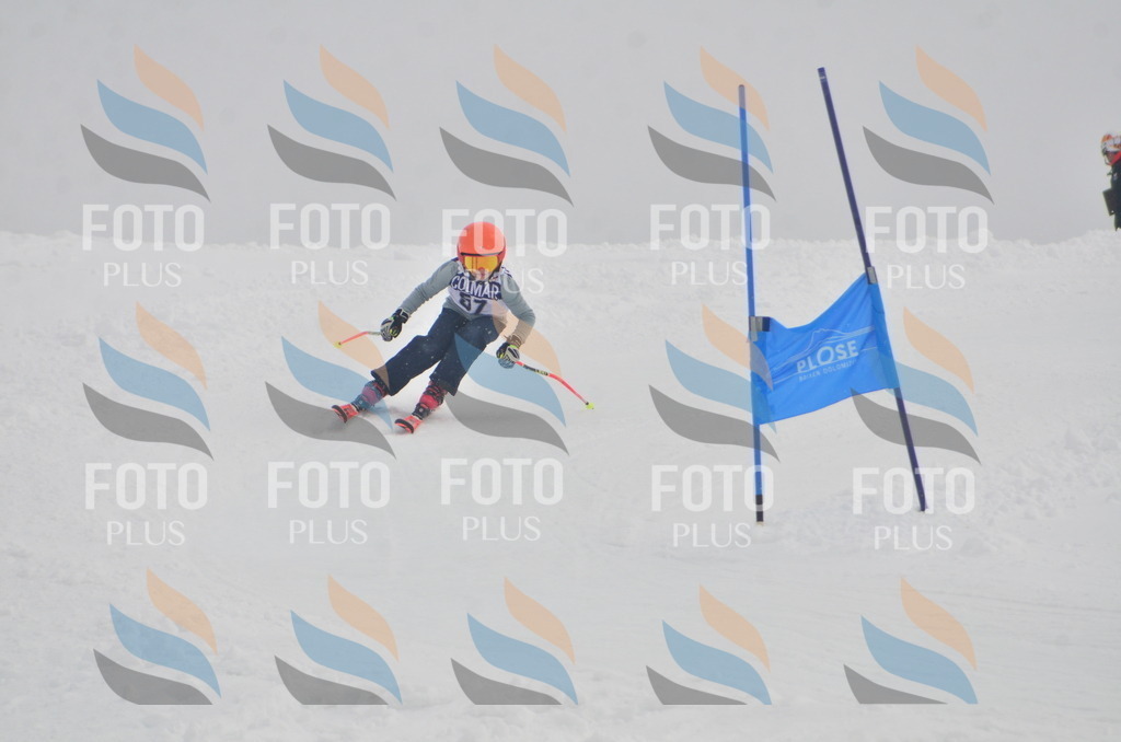 A5441 | holidayphoto