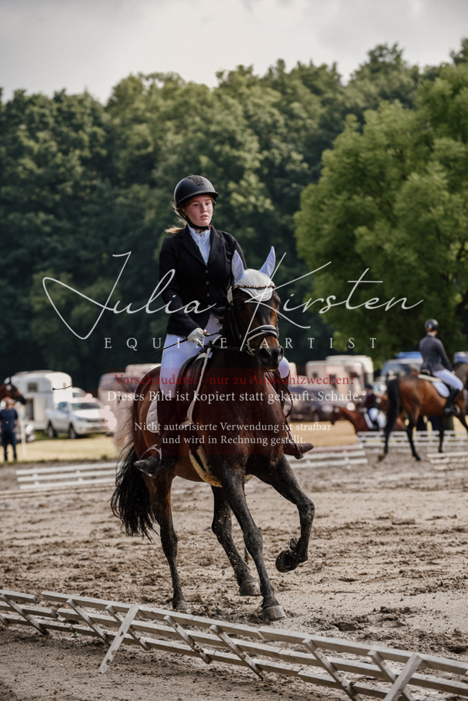 DSC_8238 | Pferde- und Turnierfotografie in Westsachsen. Pferdeportraits, Auftragszeichnungen und intuitive Kunst.