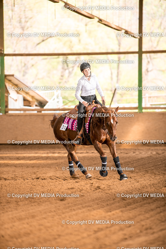 Balingen Tag 5-756 | dv-media-shop - Realisiert mit Pictrs.com