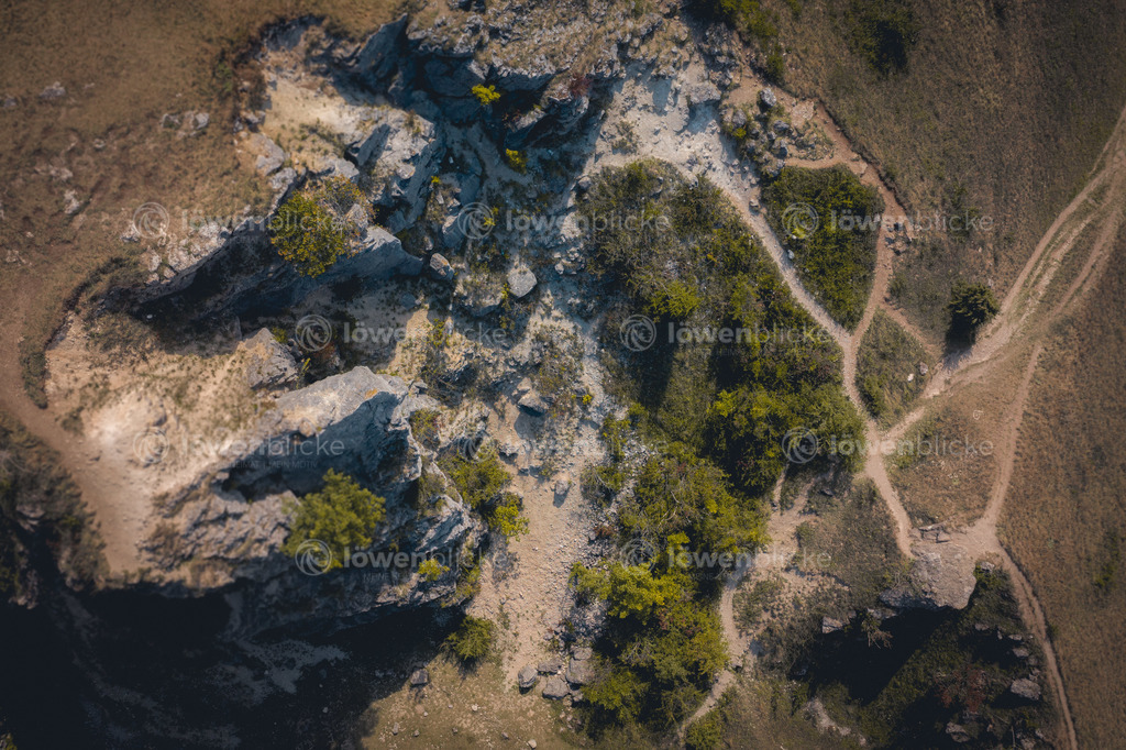 Spielburg beim Hohenstaufen im Sommer | löwenblicke | shop