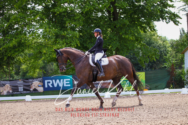 DKP40941 | Turnierfotos kaufen im Webshop von Daniel Kuhl Photography – entdecke professionelle Reitsportfotos aus Turnieren & Events. Hochwertige Turnierbilder online bestellen & sichern. Jetzt Fotos von Reitsportturnieren kaufen!