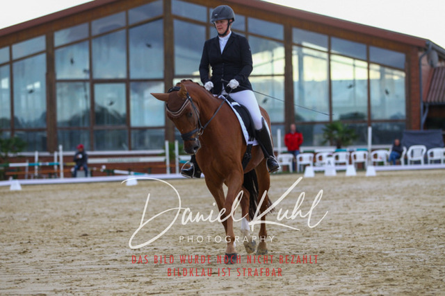 DKP43729 | Turniersportfotografie; Pferdefotografie; Dressurfotografie