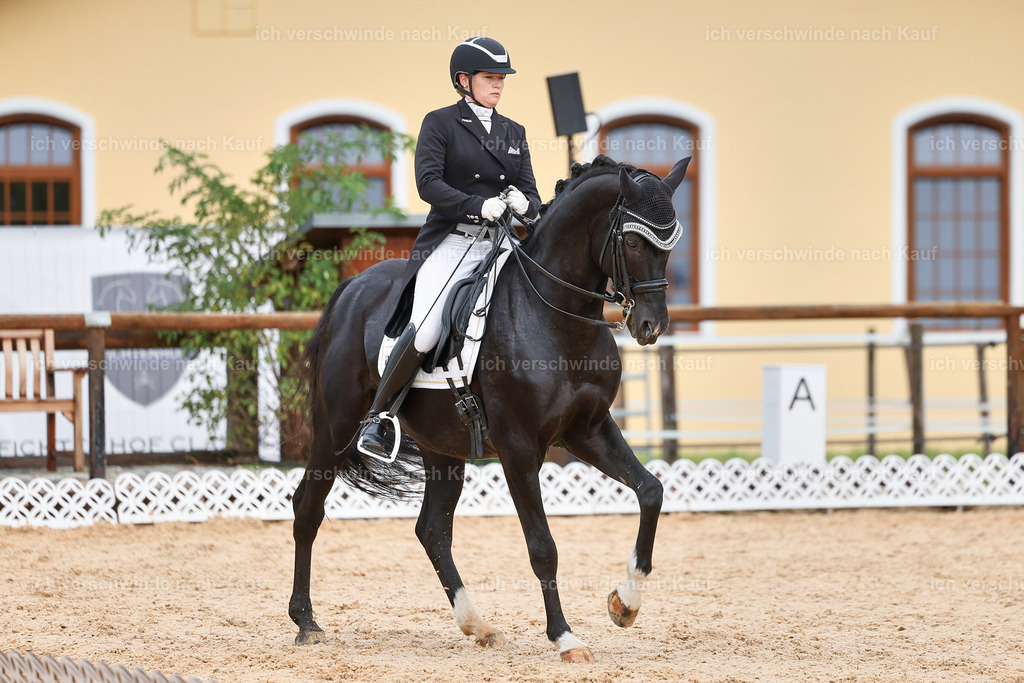 07-093-DRESSUR  S___  -StoibPH-5028 | working equitationturnier fotograf videograf stoibphotography marixx film working equitation deutschland reitsport turnierfotografie eventfotografie equestrian events