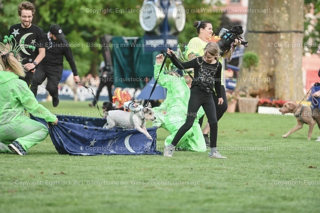 20230526_Pferdenacht_0467 | equistock