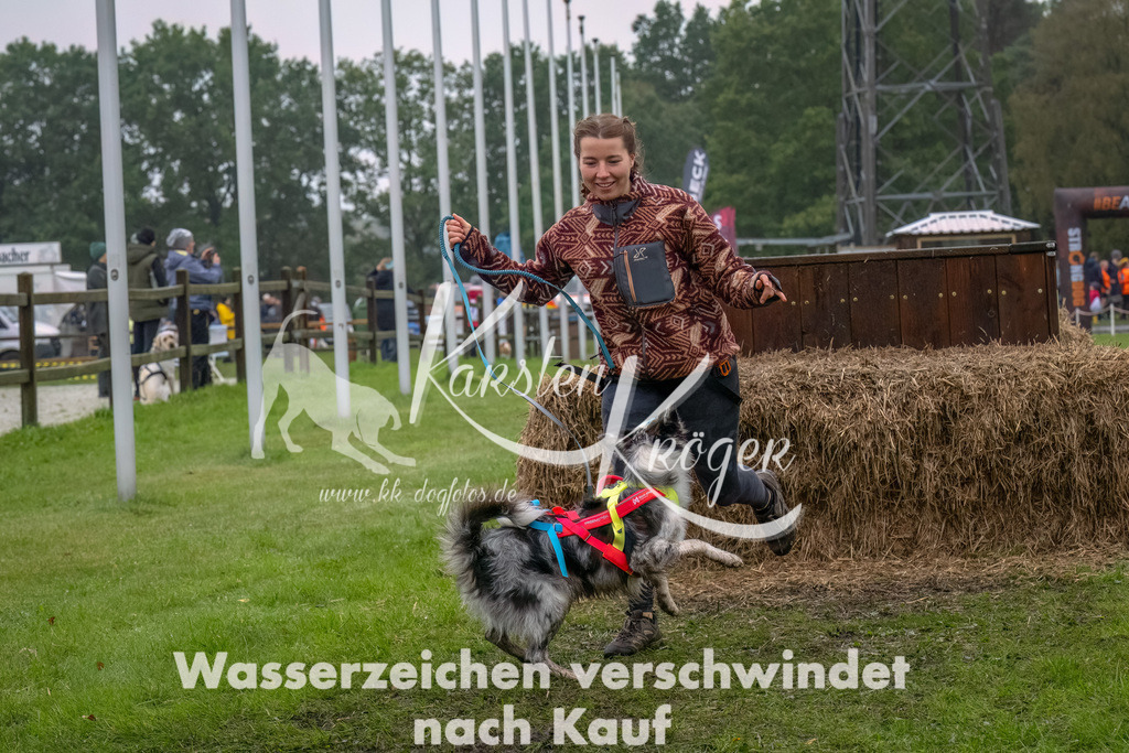 1226--11 | kk-dogfotos