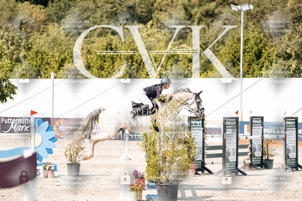 CK901895 | Turnierfotografie Pferdefotografie Trier Rheinland-Pfalz Pferdesport Reitsport Tierfotografie Sportfotografie Pferdevideo Pferdevideografie Equestrianvideography equestrianphotography  - Realisiert mit Pictrs.com