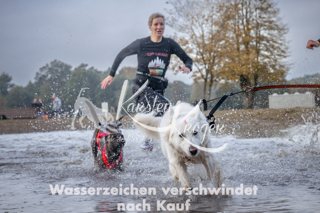 1138_ZZ95725 | kk-dogfotos