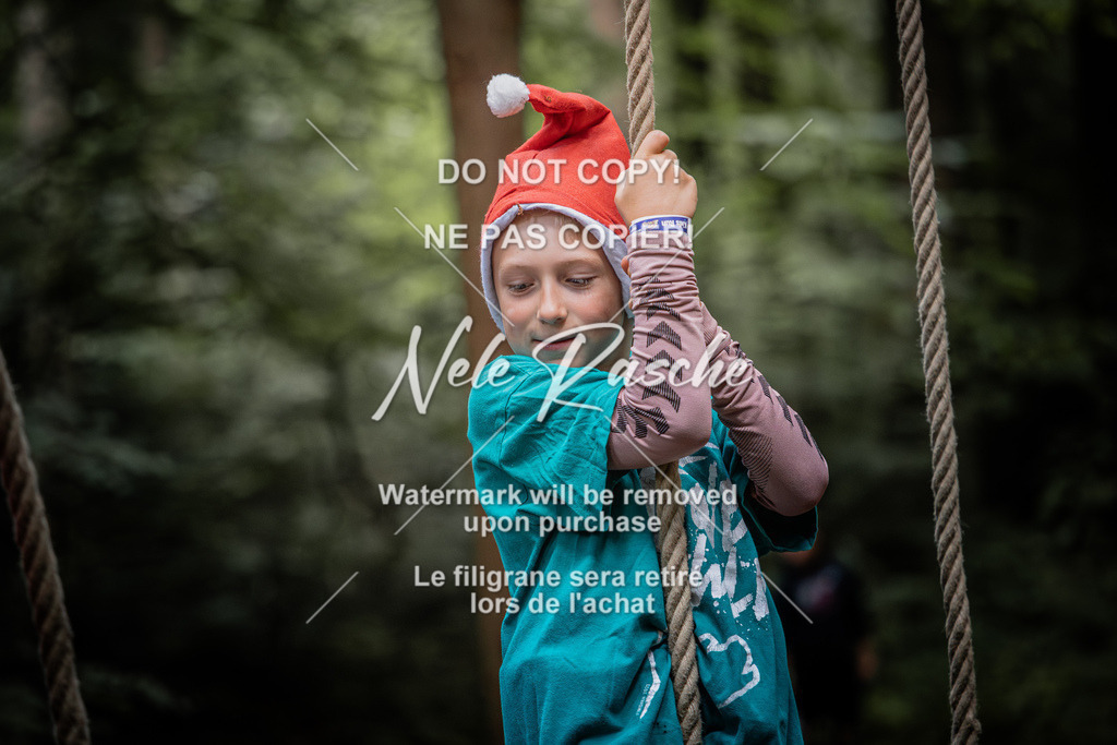 nelerasche_SoWingst1130-1230_180 | nelerasche