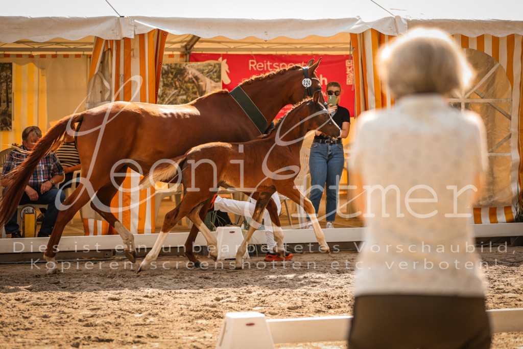 09.DoWBD00139 | Leoni Ertmer Photography - Realisiert mit Pictrs.com