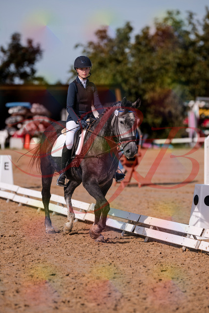 2026_10_03_Siefer-Hof_120027_Z81_02132354 | Professionelle Reitsport-, Turnier- und Eventfotografie von Robert Broda. Galerien mit ausgewählten und bearbeiteten Bildern direkt online ansehen und bestellen.