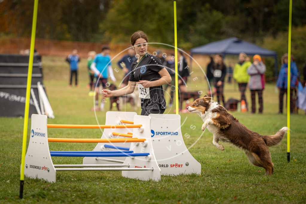 Pfotenfotografie_DV3A6182 | Hundefotografie, Tierfotograf, Pfotenfotografie, Fotoshooting Hund, Hunde Portrait, Hundesport, Hundeportraits, Heideshooting, Hunde, Sportfotograf, Hundefotograf, Turnierhundsport, THS,  - Realisiert mit Pictrs.com