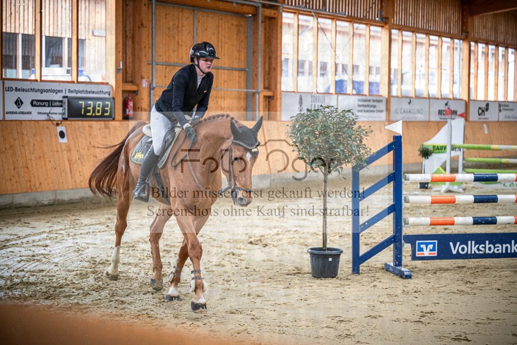 DOS_0467 | Entdecke hochwertige Reitturnierfotos von Foto Oger. Professionell, emotional und authentisch – jetzt Lieblingsmomente im Shop bestellen.Deutschlandweite Turnierfotografie. - Realisiert mit Pictrs.com