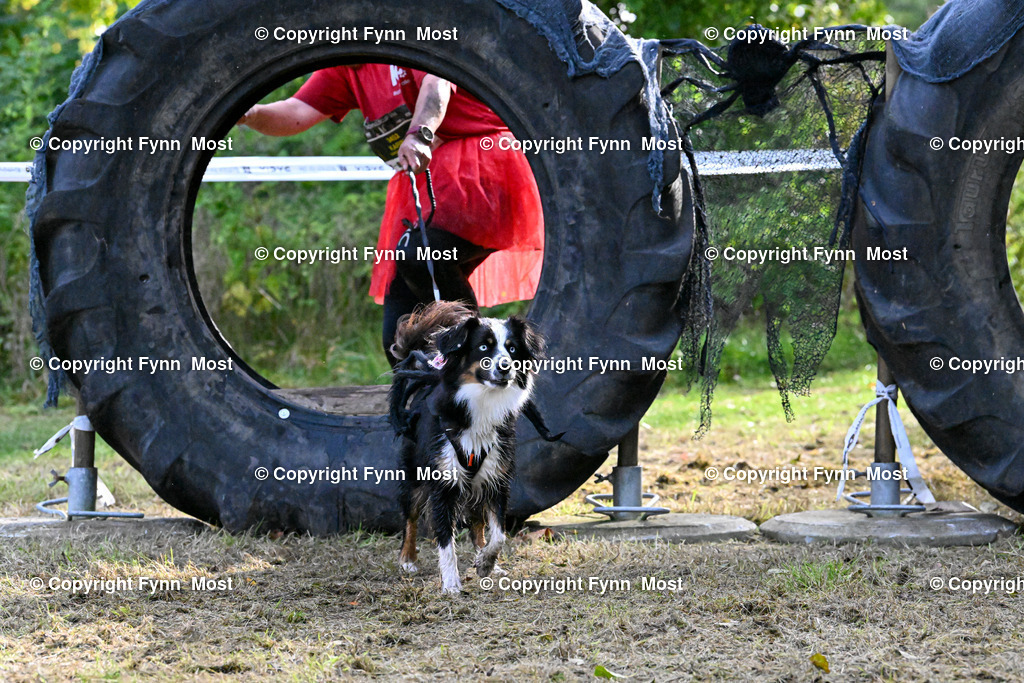DSC_2729 | Hallo und herzlich Willkommen auf meiner Shop-Seite Fynn Most.

Ich wünsche Dir viel Spaß beim stöbern durch die Bilder, wenn Du Fragen hast oder Bilder vermisst, kannst du mir gerne eine Nachricht schreiben. - Realisiert mit Pictrs.com