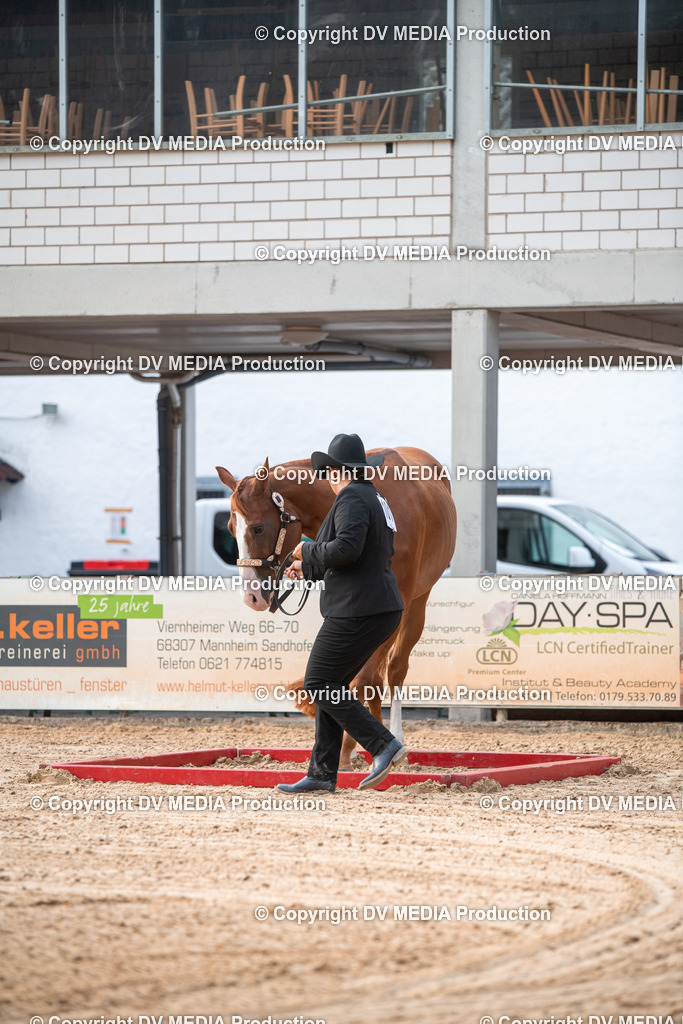 EWP_5557 | dv-media-shop - Realisiert mit Pictrs.com