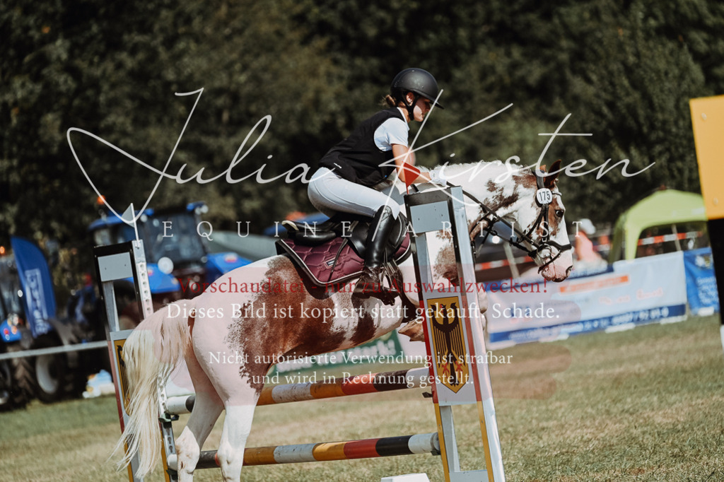 DSC_9820 | Pferde- und Turnierfotografie in Westsachsen. Pferdeportraits, Auftragszeichnungen und intuitive Kunst.