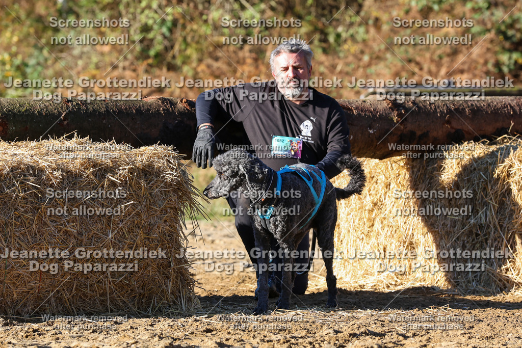 Dog Paparazzi - Strongdog 10-25-1710 | Dog Paparazzi Jeanette Grottendiek Fotografie & Videografie - Realisiert mit Pictrs.com