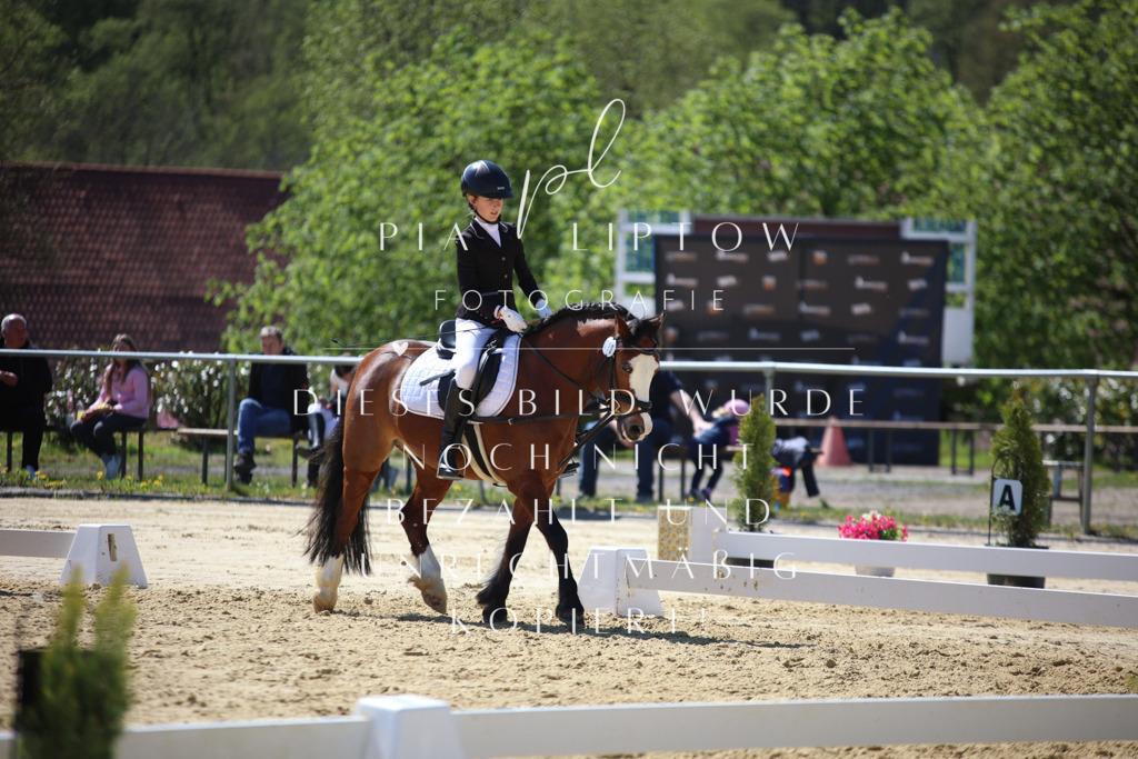 IMGT0457 | pl-fotografie