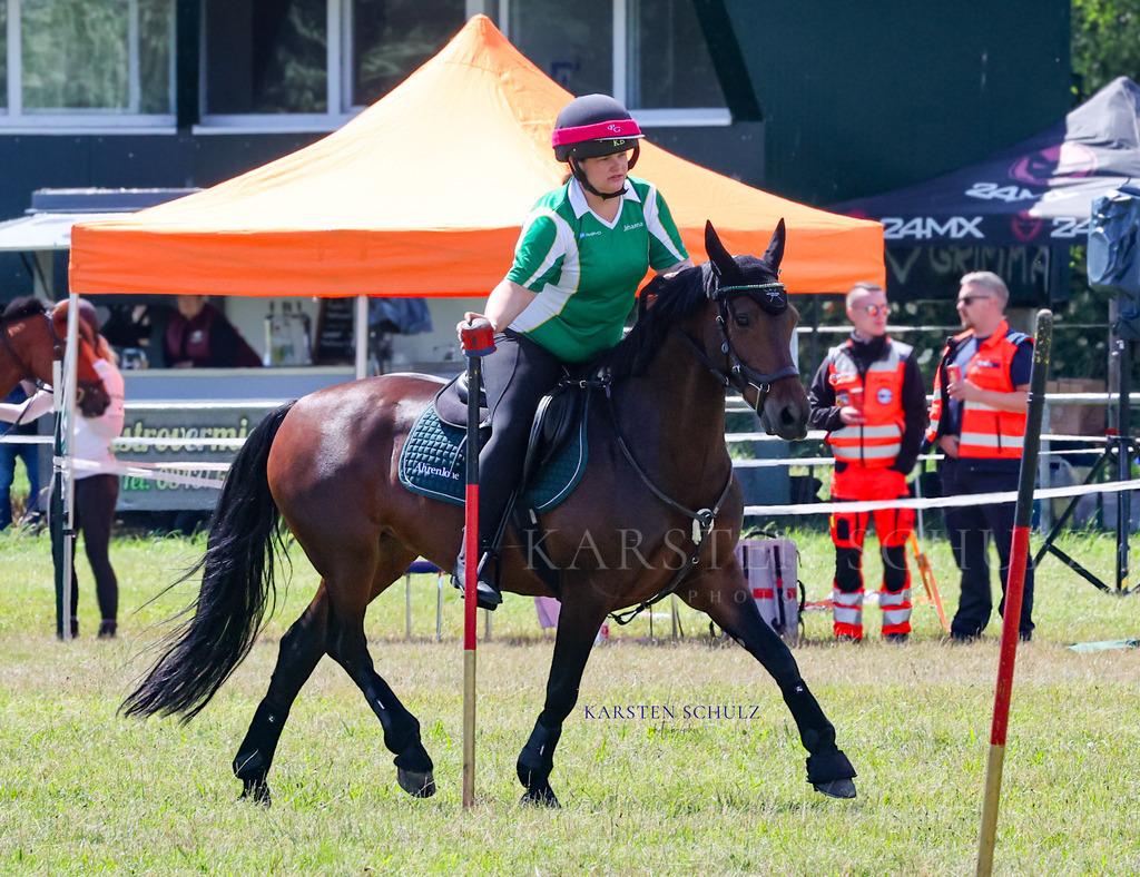 1B3A4254 | Reitsport Reiten