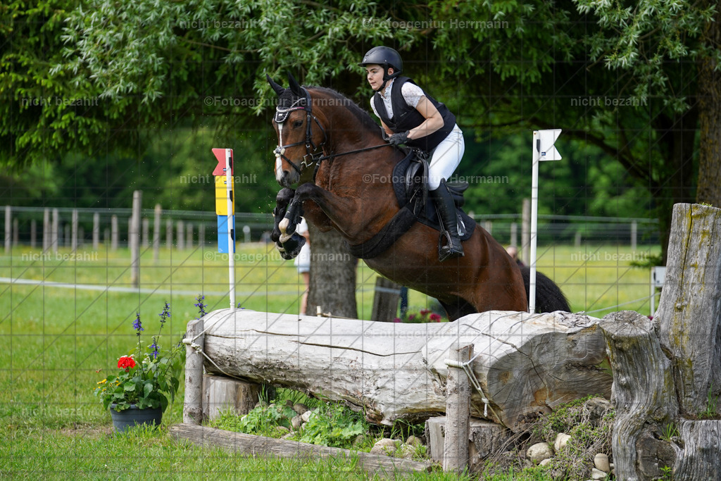 20240518-FAH03790 | Turnierbilder von Niederseon, Turnierfotografen Bayern, Fotoagentur Herrmann, Geländebilder, Reitsportfotografie