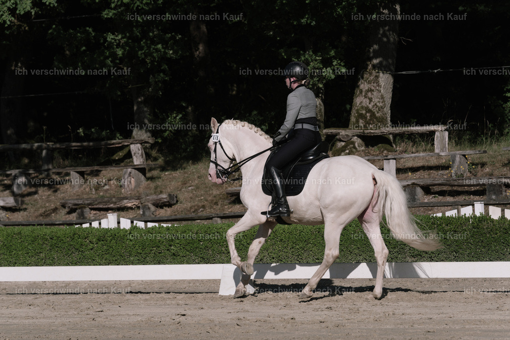WM_DR_76_sinafilmart_IN04522 | working equitationturnier fotograf videograf stoibphotography marixx film working equitation deutschland reitsport turnierfotografie eventfotografie equestrian events