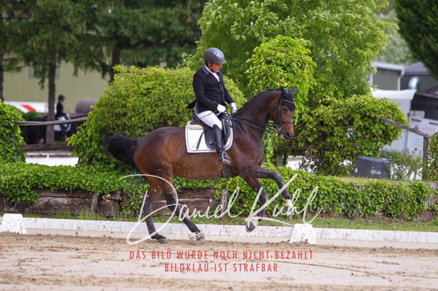 DKP40791 | Turniersportfotografie; Pferdefotografie; Dressurfotografie