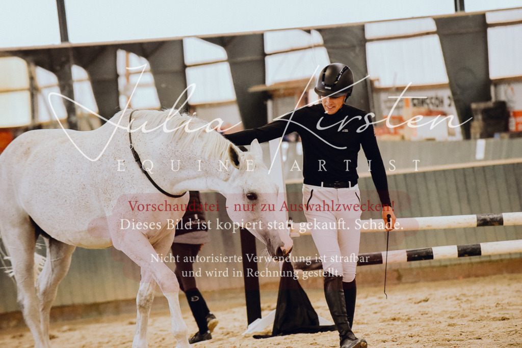 DSC_6998 | Pferde- und Turnierfotografie in Westsachsen. Pferdeportraits, Auftragszeichnungen und intuitive Kunst.