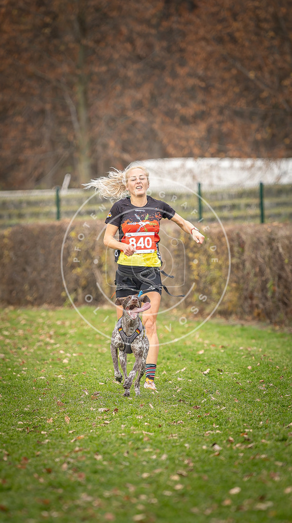 CaniXpix_DV3A6213 | Hundefotografie, Tierfotograf, Pfotenfotografie, Fotoshooting Hund, Hunde Portrait, Hundesport, Hundeportraits, Heideshooting, Hunde, Sportfotograf, Hundefotograf, Turnierhundsport, THS,  - Realisiert mit Pictrs.com