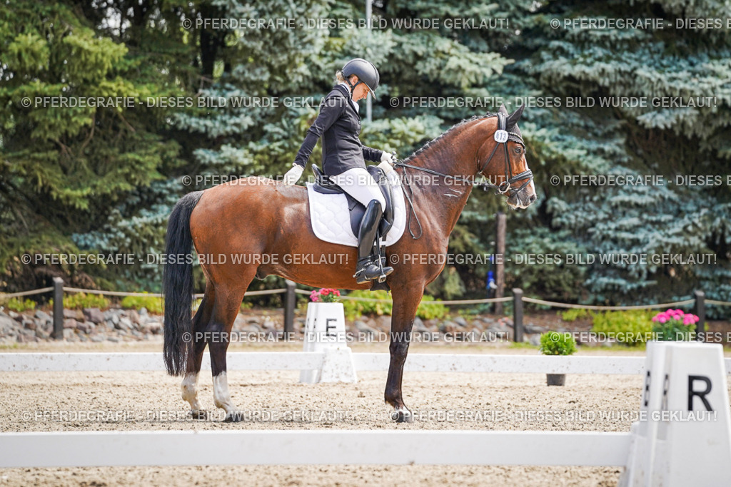 DSC00318 | Pferdegrafie