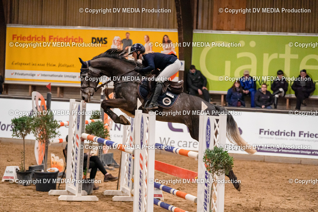 Kranichstein Tag 2-1077 | dv-media-shop - Realisiert mit Pictrs.com