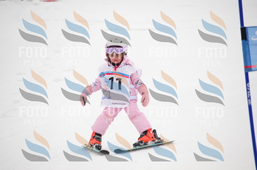 B8997 | holidayphoto