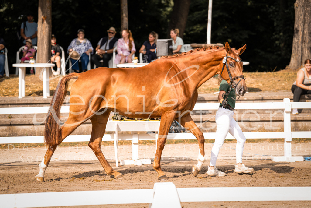 FrER00089 | Leoni Ertmer Photography - Realisiert mit Pictrs.com