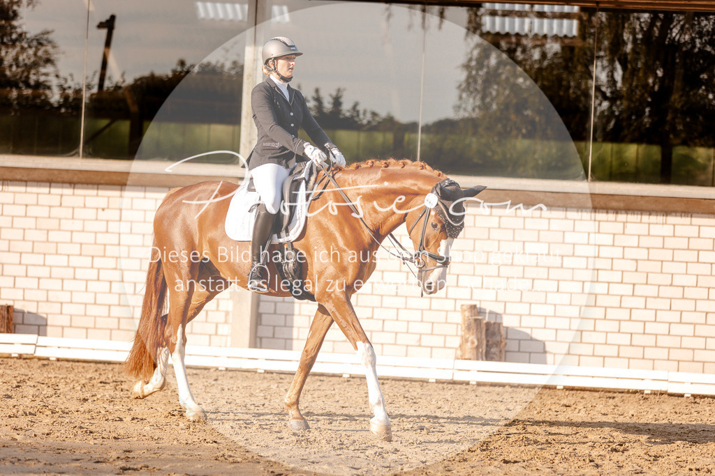 3I6A2347 | Stimmungsvolle Portraits und Reitsportfotografie im Ruhrgebiet und im Münsterland.

Pferdefotografie, Hundefotografie, Tierfotografie, Reportagen, Portraits von Tier und Mensch, Turnierfotografie in Bochum, Recklinghausen, Marl, Haltern am See, Dülmen.. - Realisiert mit Pictrs.com