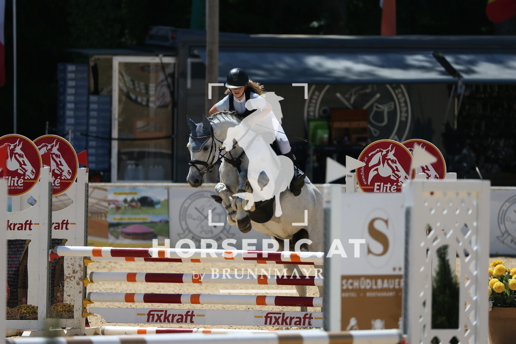 PP014778 | Willkommen bei Brunnmayr - Design & Fotografie – Ihrem Spezialisten für Reitturniere und Pferdeveranstaltungen in Oberösterreich, Salzburg und Bayern! Seit über 17 Jahren sind wir leidenschaftlich dabei.
