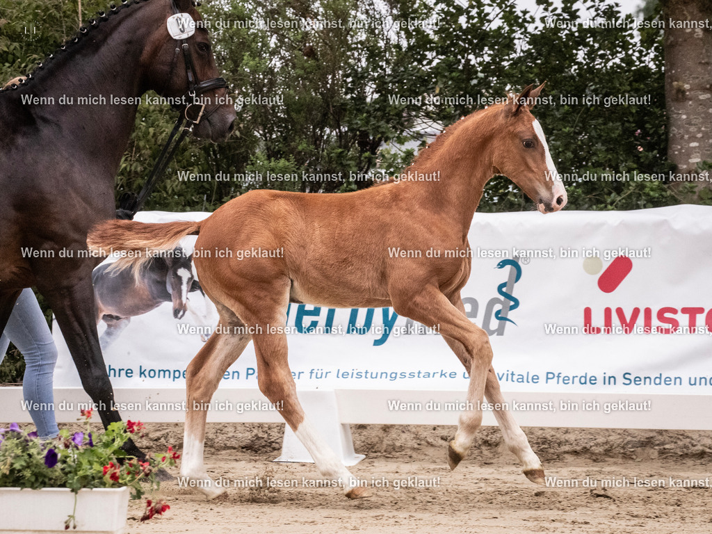 A10I9875 | photographylinaismer - Realisiert mit Pictrs.com