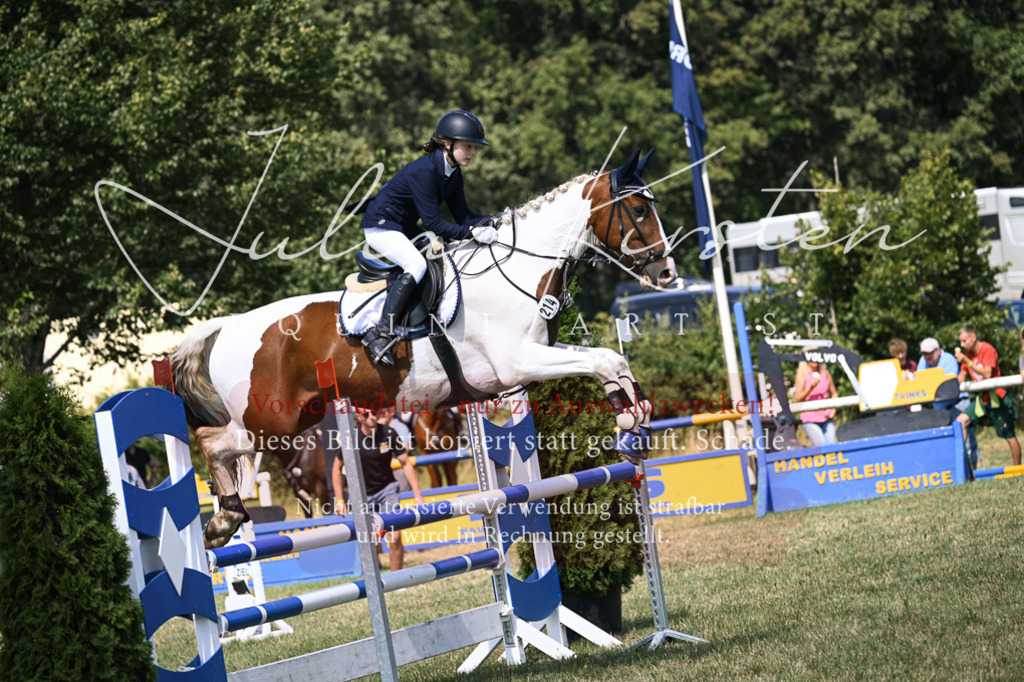 DSC_0349 | Pferde- und Turnierfotografie in Westsachsen. Pferdeportraits, Auftragszeichnungen und intuitive Kunst.