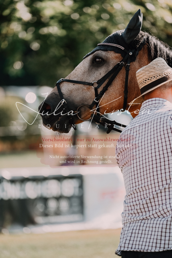DSC_4911 | Pferde- und Turnierfotografie in Westsachsen. Pferdeportraits, Auftragszeichnungen und intuitive Kunst.