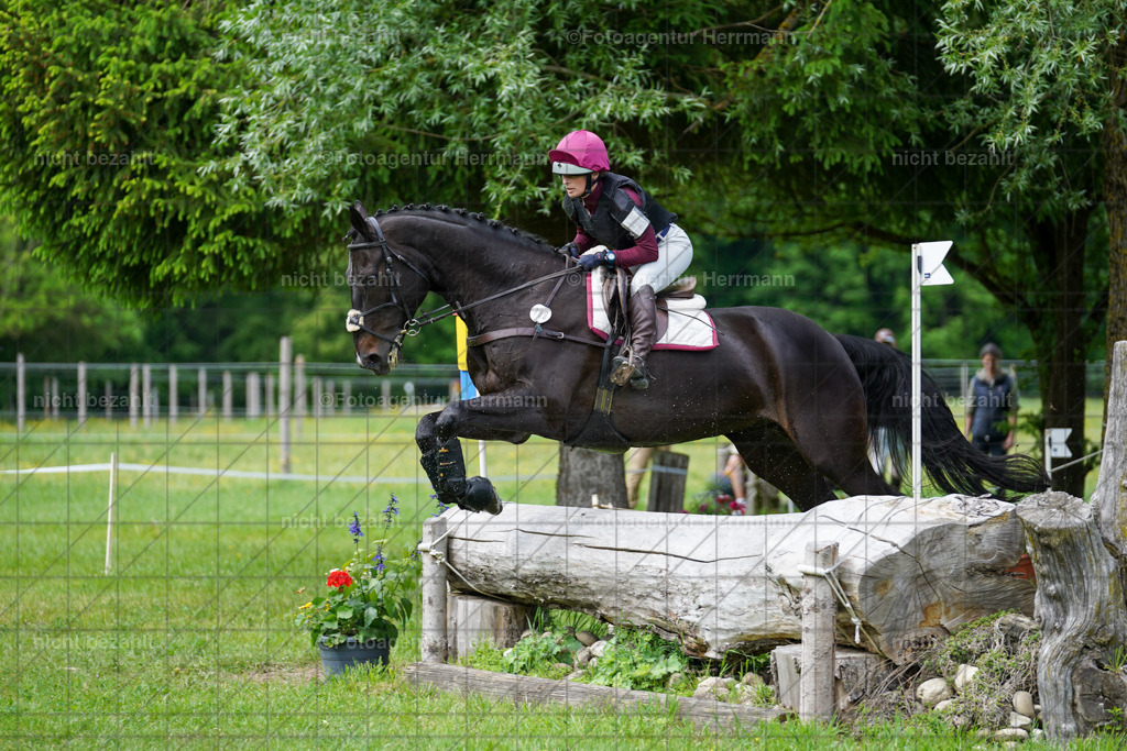 20240518-FAH03828 | Turnierbilder von Niederseon, Turnierfotografen Bayern, Fotoagentur Herrmann, Geländebilder, Reitsportfotografie