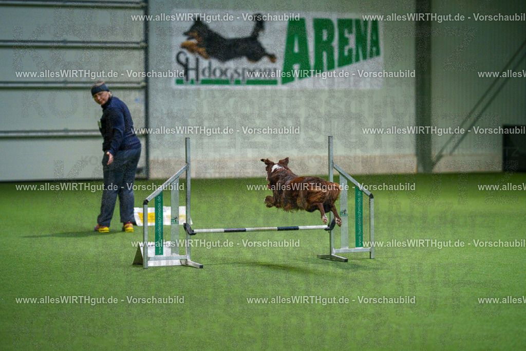 7R500096 | Professionelle Tierfotografie in Mönchengladbach von Daniel Wirth (allesWIRTHgut). Liebevolle & natürliche Bilder von Hunden & Katzen für unvergessliche Erinnerungen.