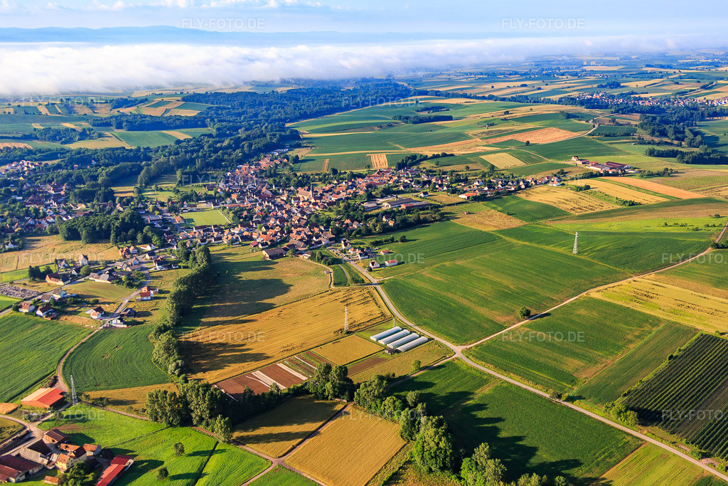 Luftbild: Ortsansicht von Nordwesten in Riedseltz im Bundesland Bas-Rhin in Frankreich. – Foto: IMG_089953.jpg vom 26.06.2016 durch Werner Riehm/FLY-FOTO.de – Auflösung des Originals: 5472 x 3648 px