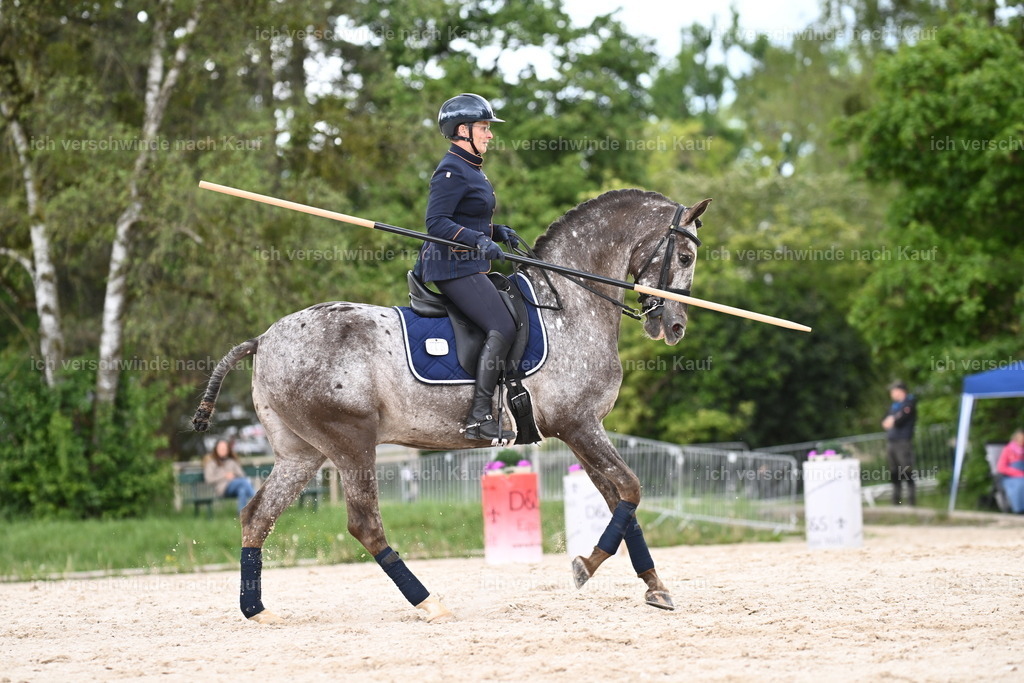 PI26_ST_Sara_Landvogt226_3264.JPG | working equitationturnier fotograf videograf stoibphotography marixx film working equitation deutschland reitsport turnierfotografie eventfotografie equestrian events