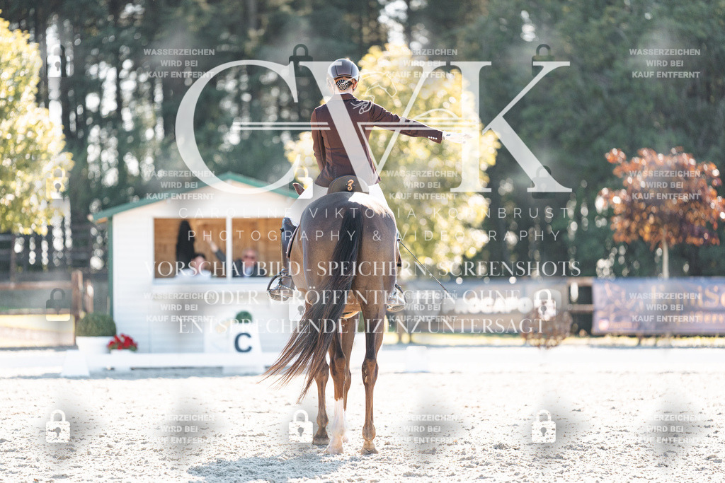 CK906536 | Turnierfotografie Pferdefotografie Trier Rheinland-Pfalz Pferdesport Reitsport Tierfotografie Sportfotografie Pferdevideo Pferdevideografie Equestrianvideography equestrianphotography  - Realisiert mit Pictrs.com