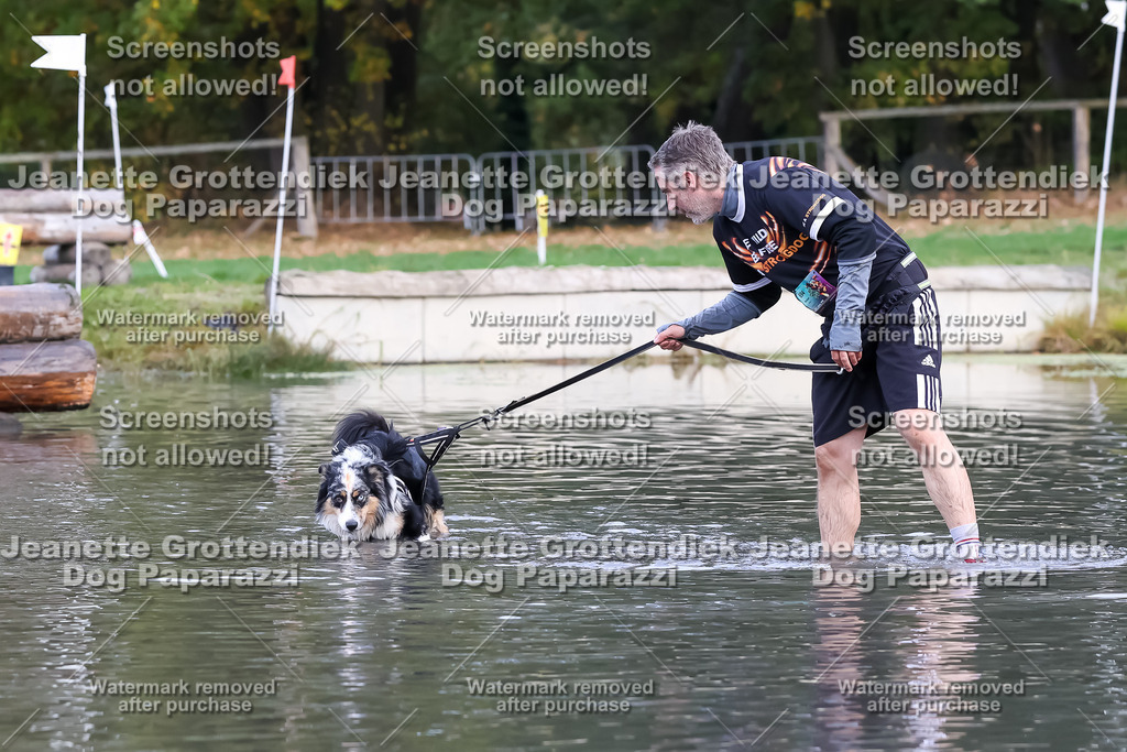 Dog Paparazzi - Strongdog 10-25-6764 | Dog Paparazzi Jeanette Grottendiek Fotografie & Videografie - Realisiert mit Pictrs.com