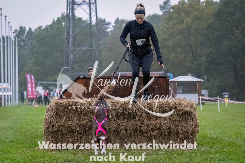0901-_ZZ92843-Bearbeitet | kk-dogfotos