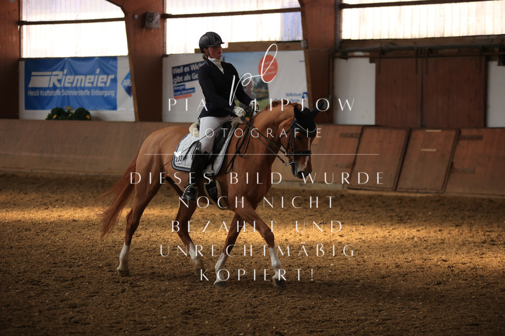 IMGT2046 | pl-fotografie